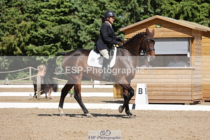 240719-155925-03003 - 237-Sue_Lanz-Wellshead_Foxtrot