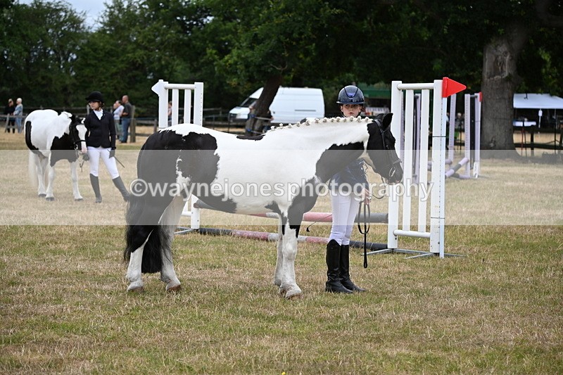WJ6_4384 - Class 10 Coloured In-hand