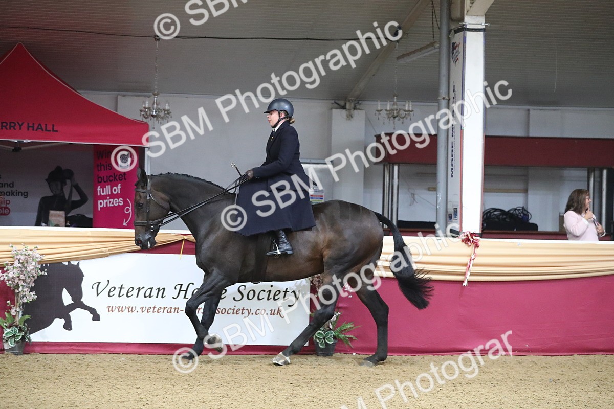 SBM_10439 - Class 102 Equitation (best rider) Adult
