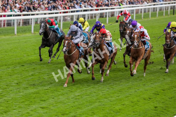 220824-Race 3-Thunder Run-7651 - Race 3 3.00pm Clipper Handicap