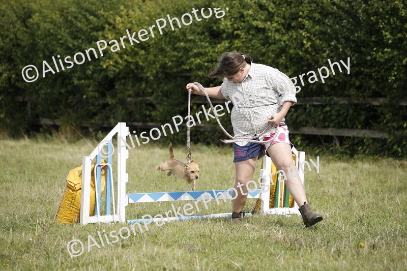 20250831-3882 - Dog Show