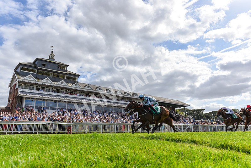 030824-Race 4-Cerulean Bay-2463 - Race 4