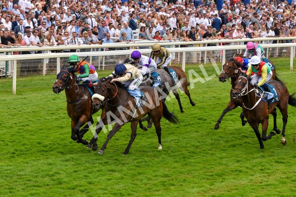 170623-Race 4-Quinault-7094 - Race 4 3.40pm Oakmere Homes Supporting Macmillan Sprint Handicap