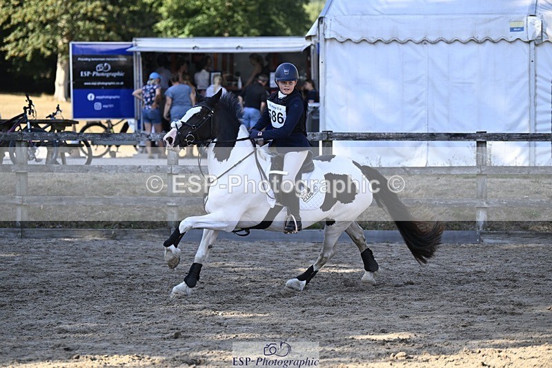 250822A-170210-24247 - Class 14 NAF 15.30 to 17.25