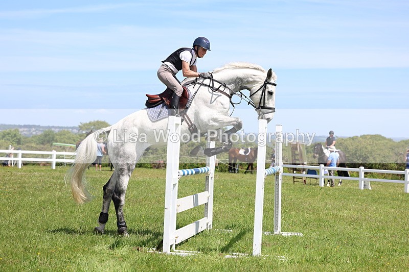 3E7A1229 - Class 12: Senior Foxhunter/1.20 open