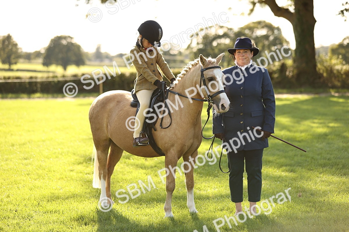 SBM_29370 - S7 - Novice & Newcomers Ridden Pony