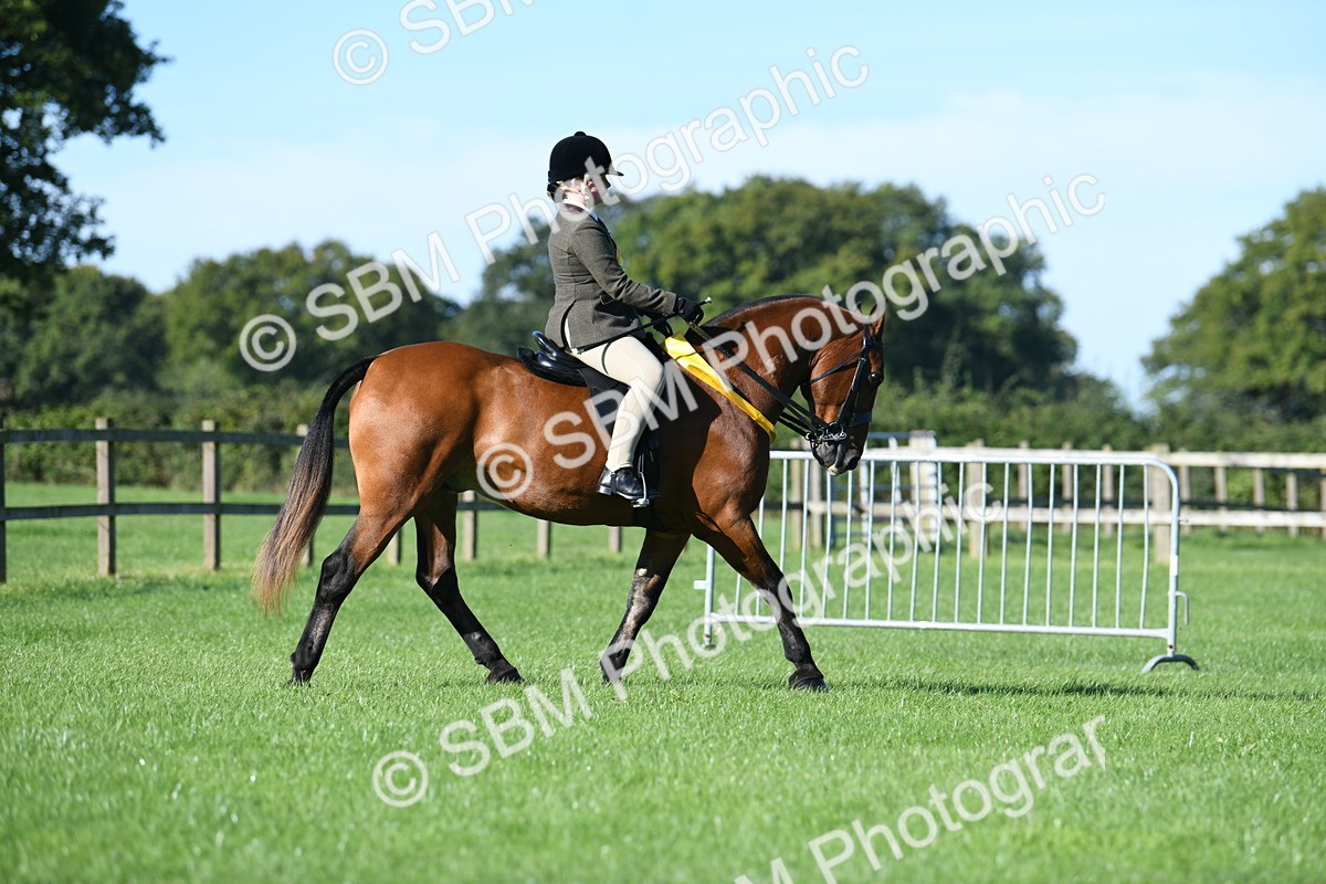 SBM_35568 - Top Turnout Supreme Championship