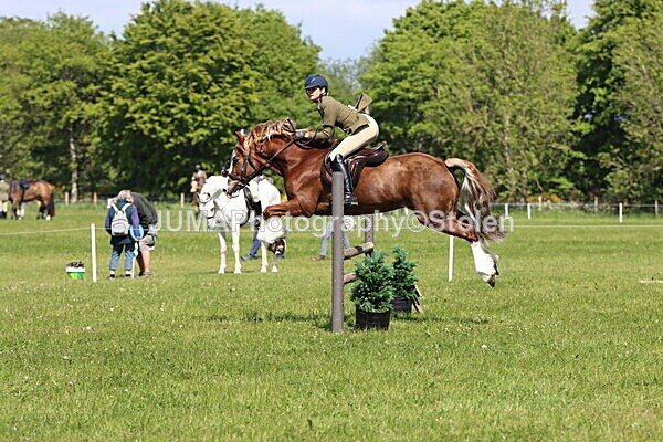 IMG_4342 - Working Hunter