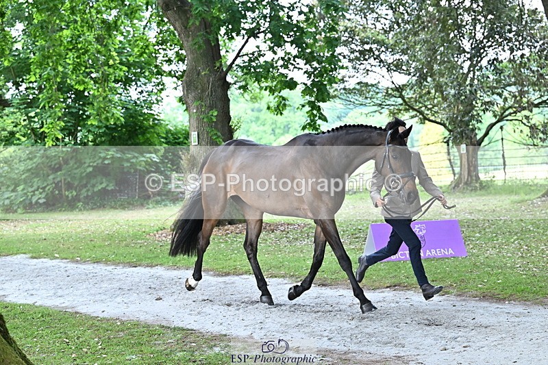 250521A-170204-01481 - C-280-Ryo.Murata-BROOKPARK.VIKENTI