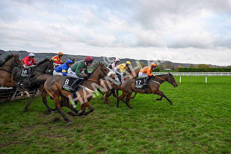 161125-Race 5-Welsh Charger-6345 - Race 5