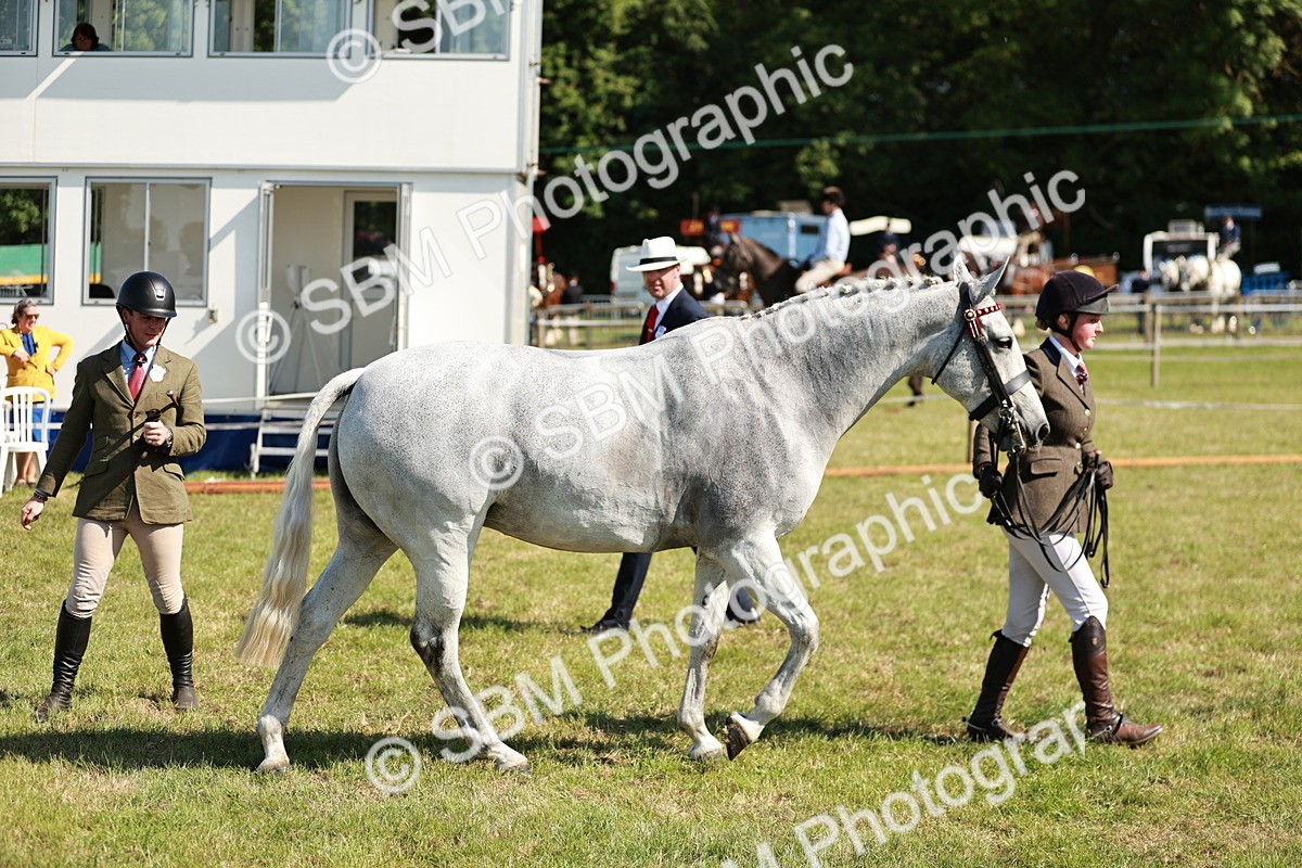 SBM_18895 - Class 114 - RIHS & SEIB Open Working Show Horse