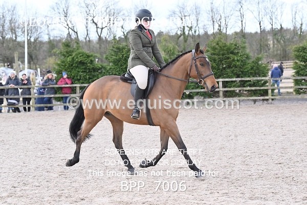 BPP_7006 - RING 1  (RIDDEN HORSES / IN HAND / VETERAN ETC)
