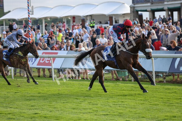 yr23072021r1-20 - Race 1 6.00pm John Wright Electrical Silk Series Lady Riders Handicap