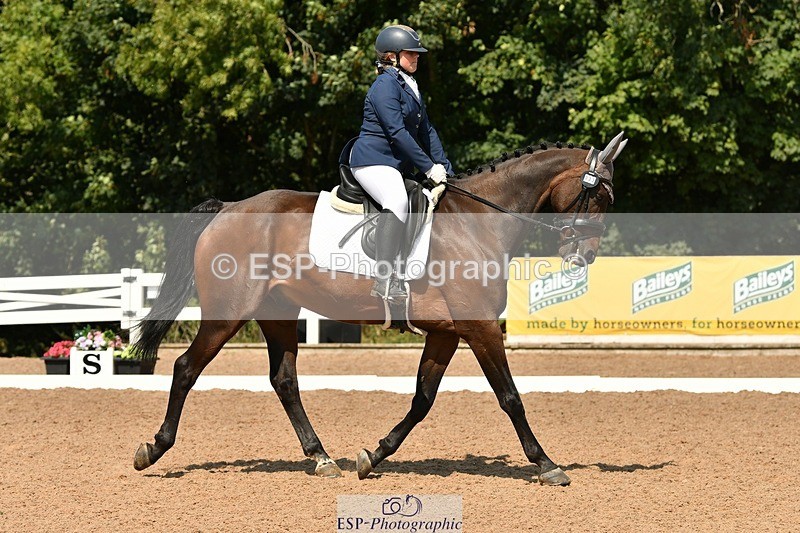 250817-133629-09995 - 033-Frankie.TorodeFirst.Impression.VI