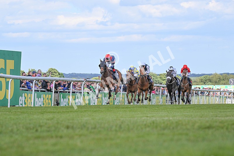 080624-Race 6-Walter Hartright-7568 - Race 6