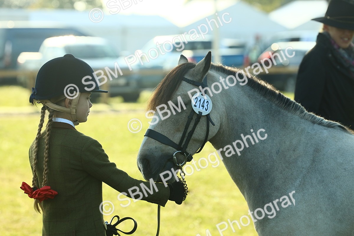 SBM_57475 - S37 - Starters In Hand Showing