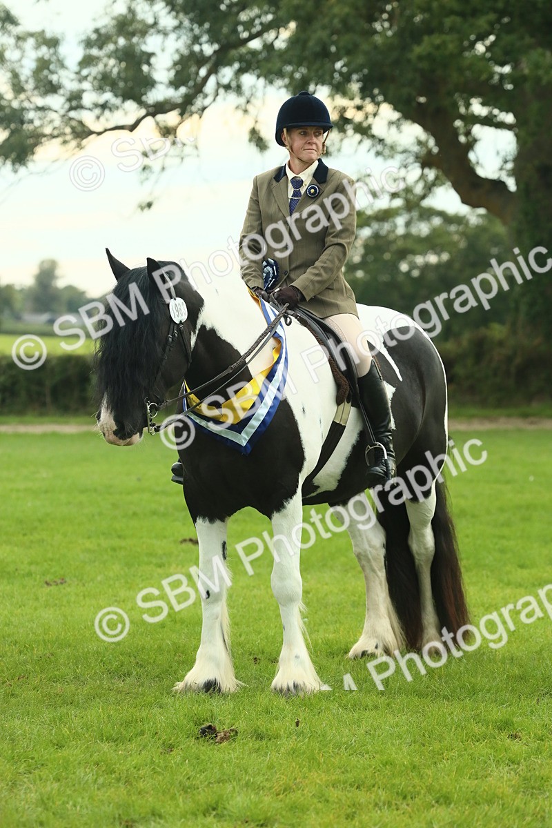 SBM_75251 - Super Supreme Championship