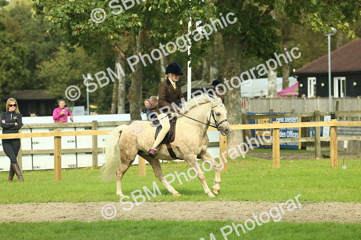 SBM_68834 - S58 - Mini Show Cob Ridden