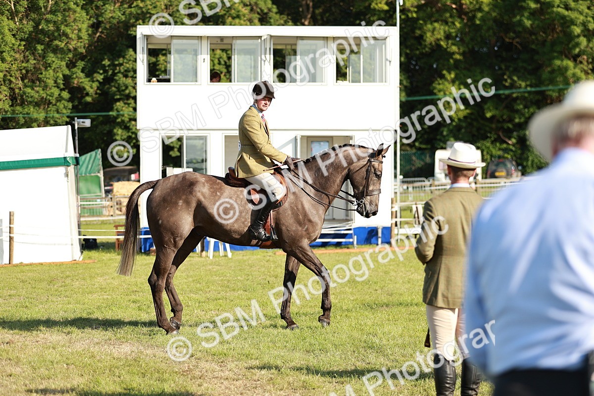 SBM_20160 - Class 117-119 - Sport Horse Working Hunter