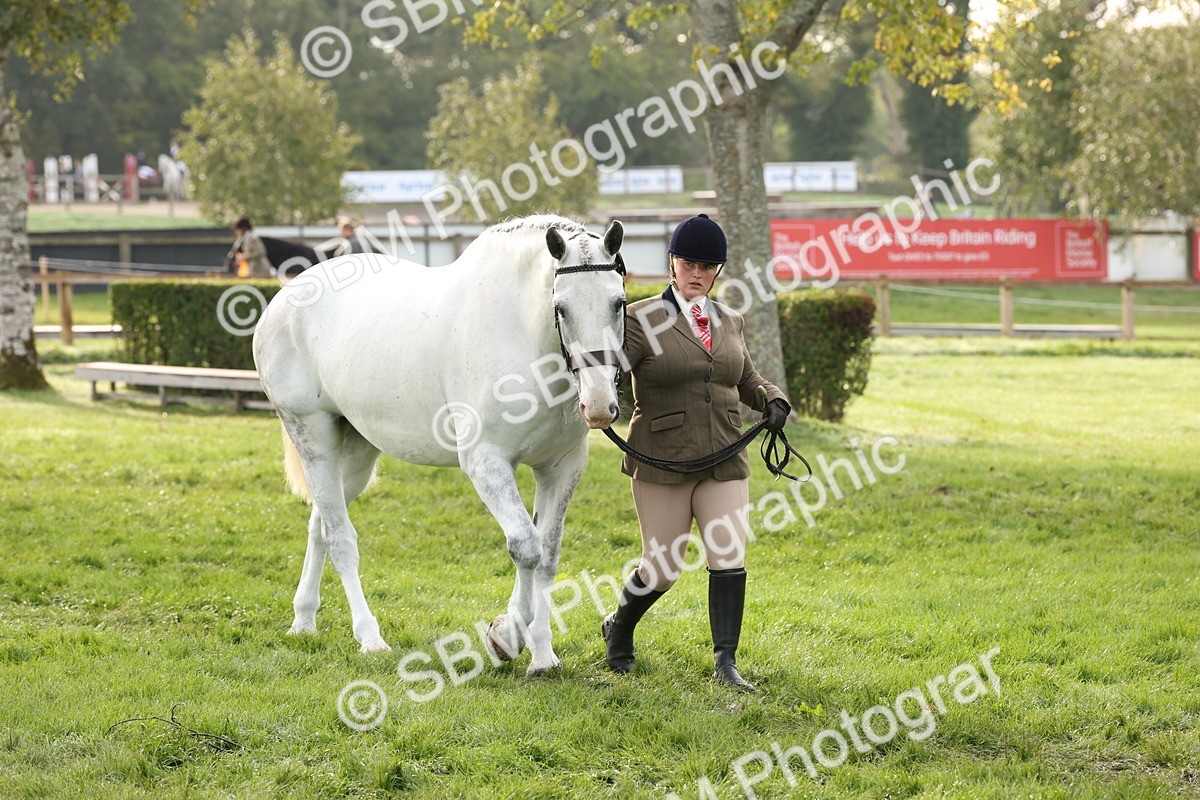 SBM_54663 - S53 - Hunter In Hand