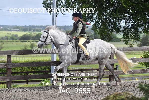 JAC_9655 - CLASS 1 Nursery Novice Working Hunter (0.50m)