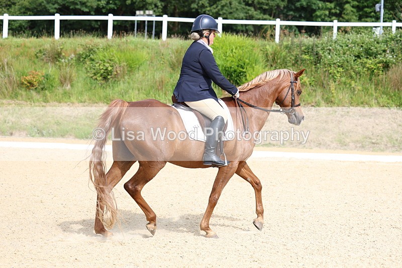 3E7A1166 - Class 1: Intro 2 2024 Section A