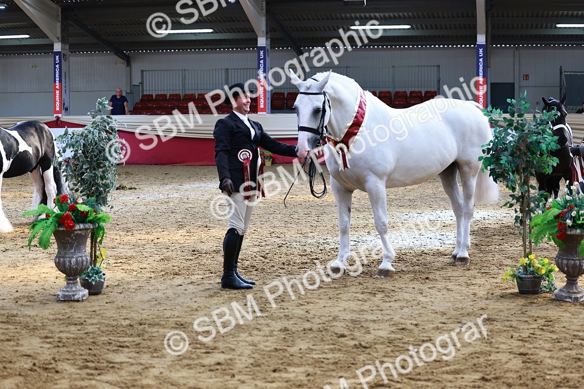 SBM_23300 - Class 903 - Supreme Final - IH Pre Vet