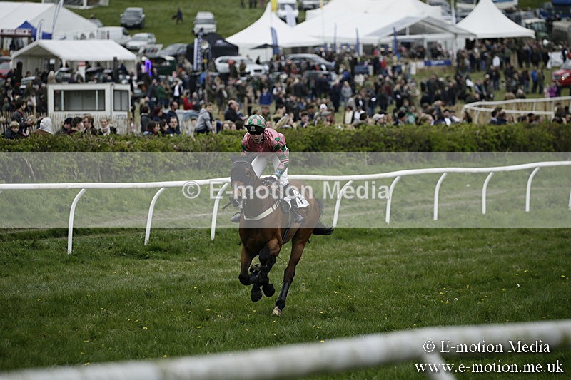 PtP 170417 557 - Old Berks Point-to-Point Lockinge 17/04/17
