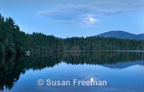 Moon Over Loch Garten