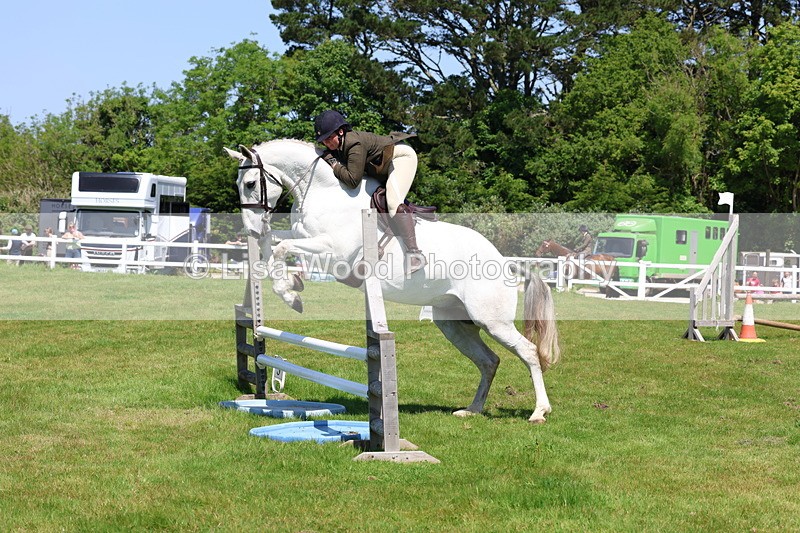 3E7A7486 - Class 31: Working Hunter Cob/Riding Horse