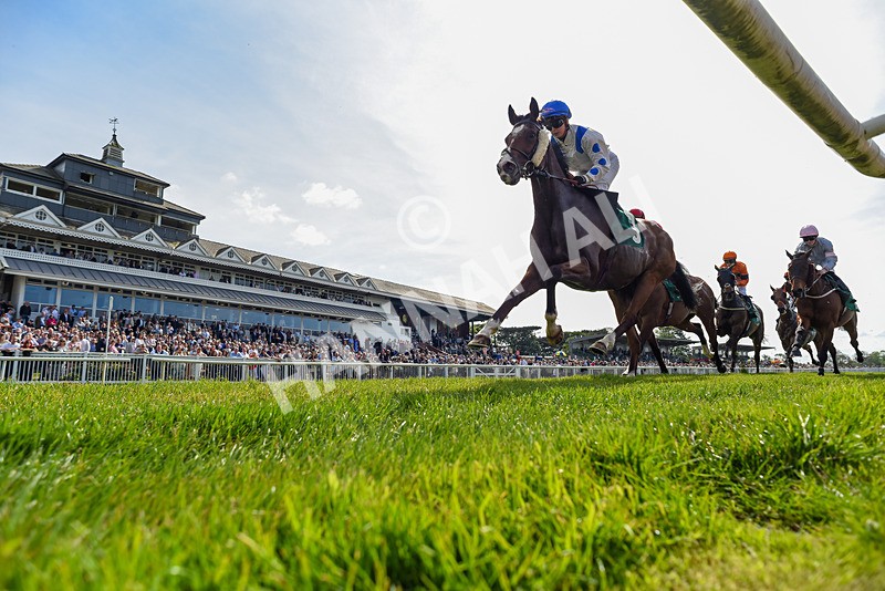 020526-Race 4-Scottish Dancer-1720 - Race 4 3.15pm Sky Bet Sunday At Thirsk 31 May Book Now Handicap