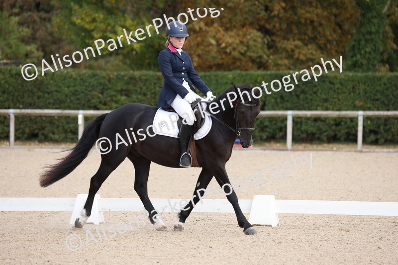 20250819-0806 - Class 1 - Intro 1