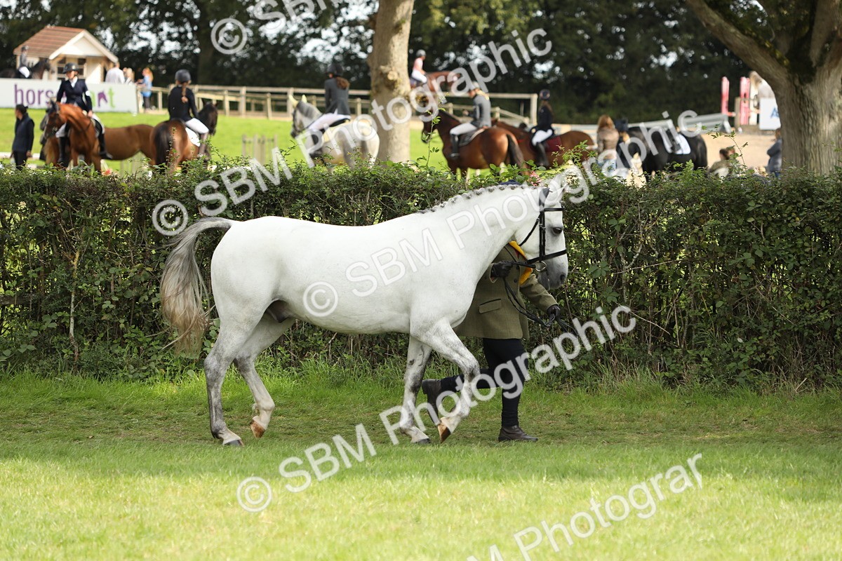 SBM_66284 - In Hand Pony & Youngstock Supreme Championship