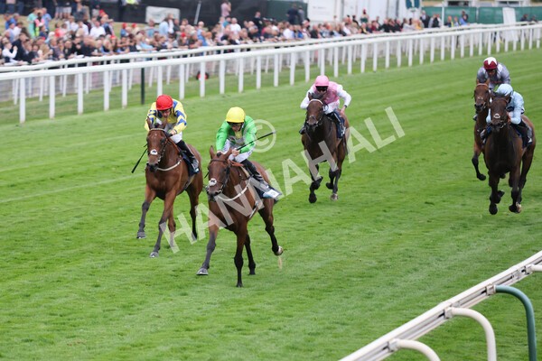 yr22072022r5-19 - Race 5 7.20pm British Stallion Studs EBF Lyric Fillies' Stakes