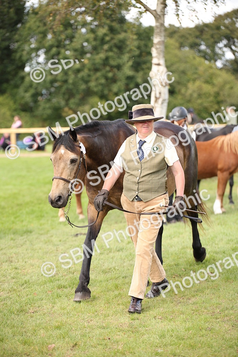 SBM_44475 - S24 - Young Veteran in hand