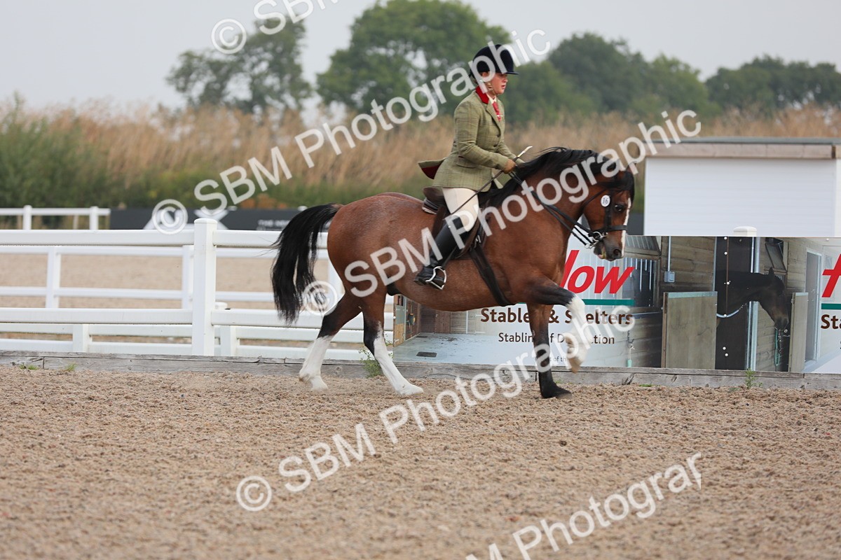 SBM_10002 - Class 302 Ridden M&M -Large Breeds