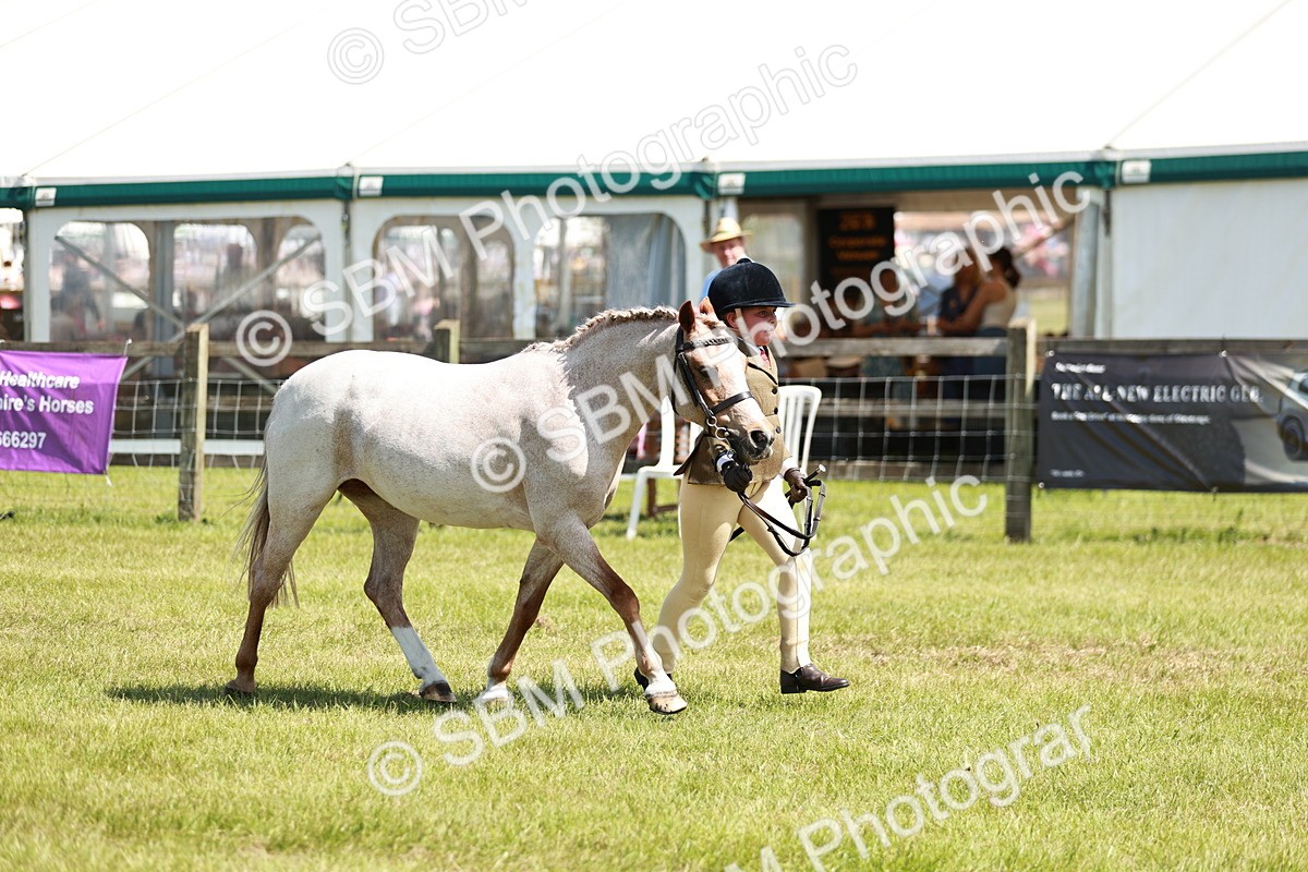 SBM_13641 - Class 108-109 - BSPS LIHS Open Gradle & Nursery Stakes