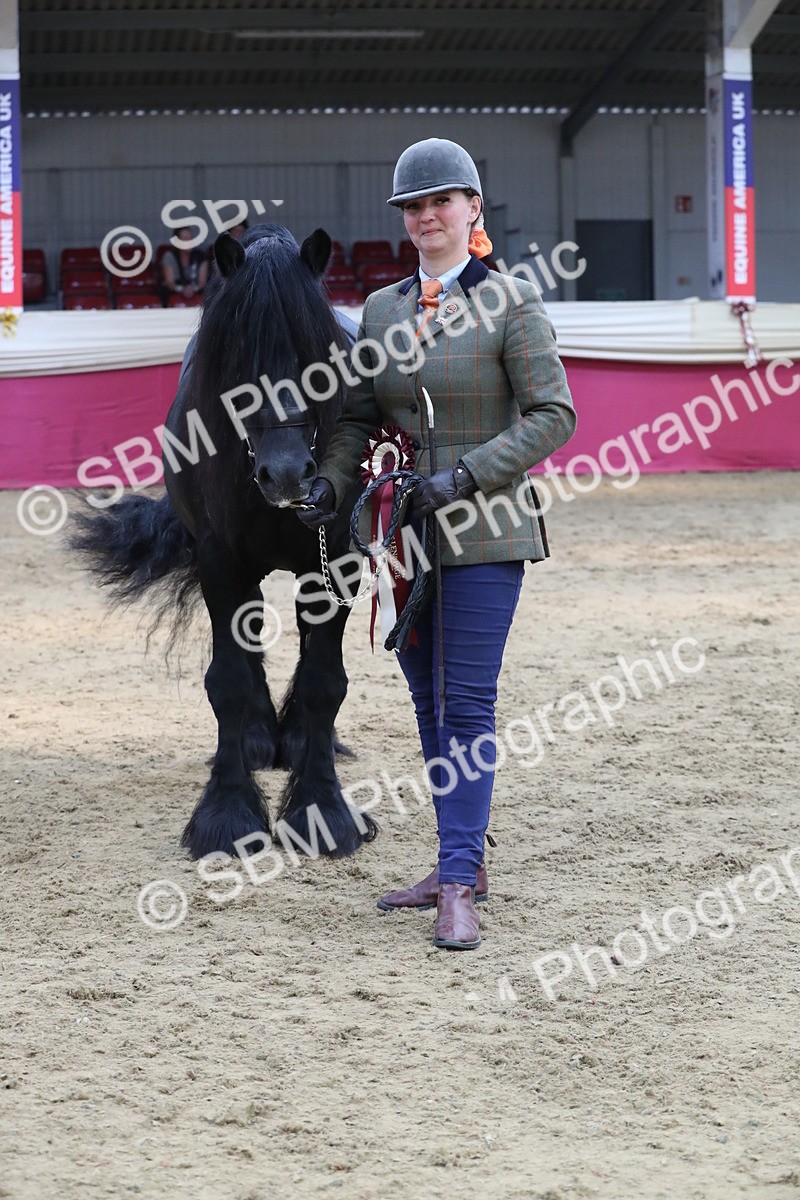 SBM_06595