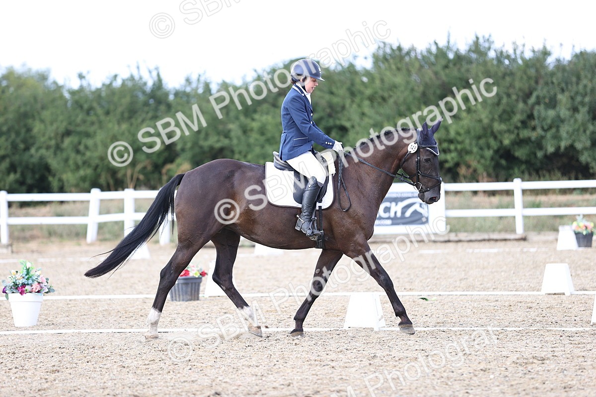SBM_016138 - Class 5 - E5 Bronze  16.18.17.22
