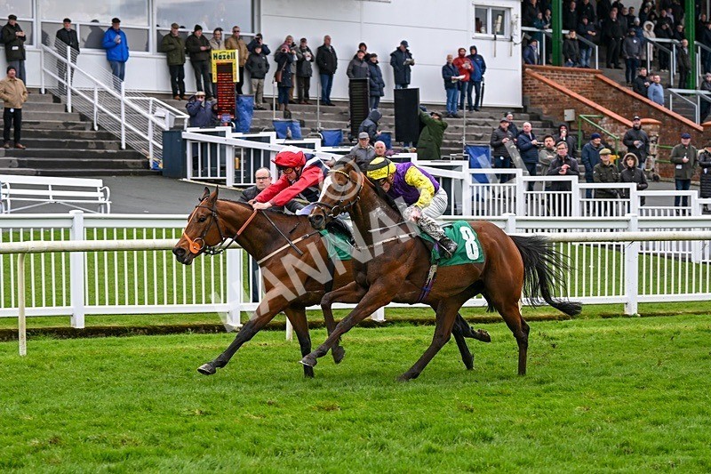  - Race 5