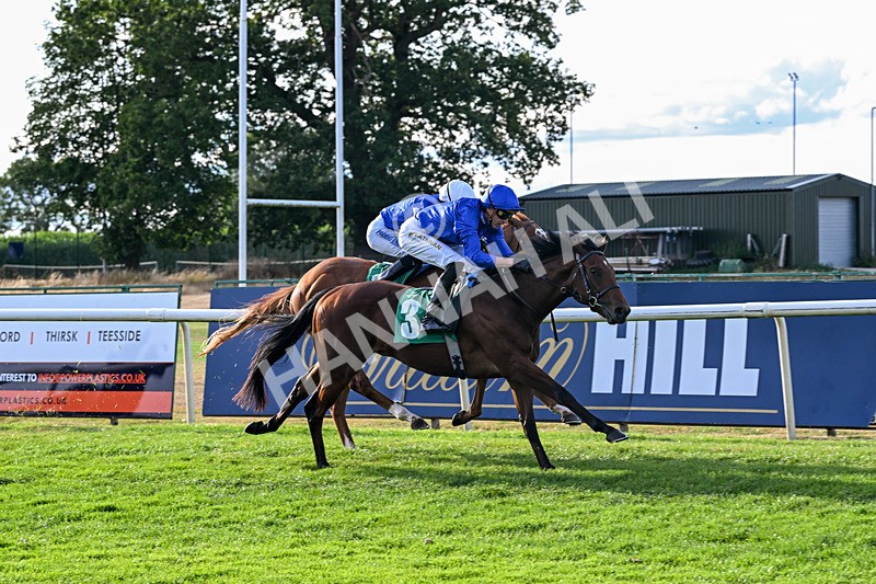 140826-Race 2-National Honour-0951 - Race 2 18.08pm JW 4x4 Northallerton Irish EBF Novice Stakes
