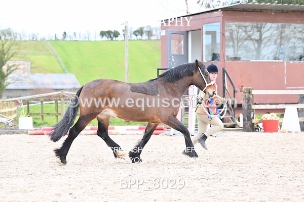 BPP_8029 - SUPREME CHAMPIONSHIP
