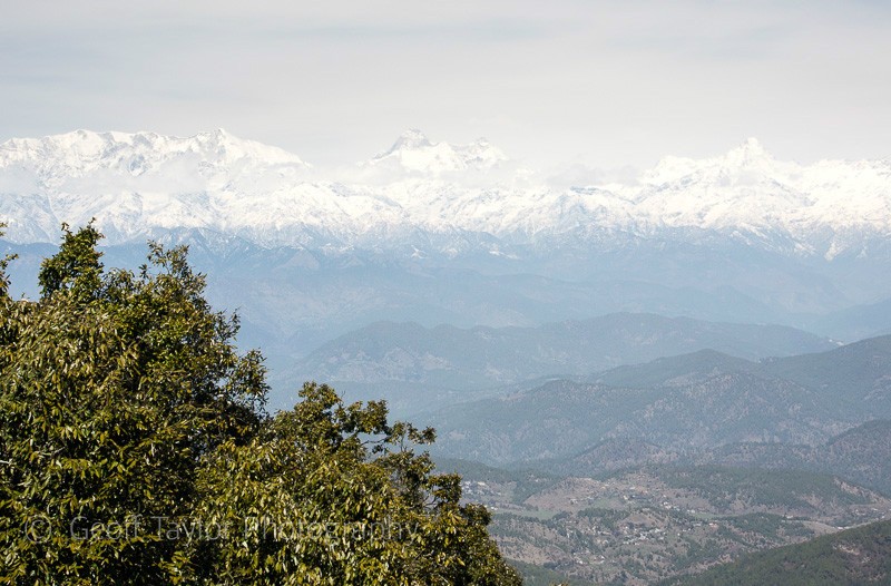Himalayas from Zero Point - Binsar Sanctuary