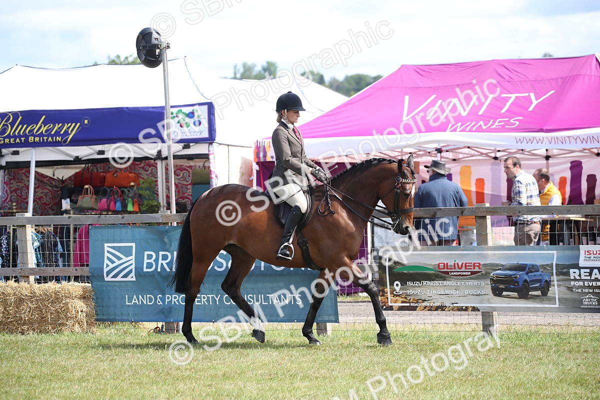 SBM_13299 - Class 95-96 - LIHS BSHA Rising Star Hack Riding Horse