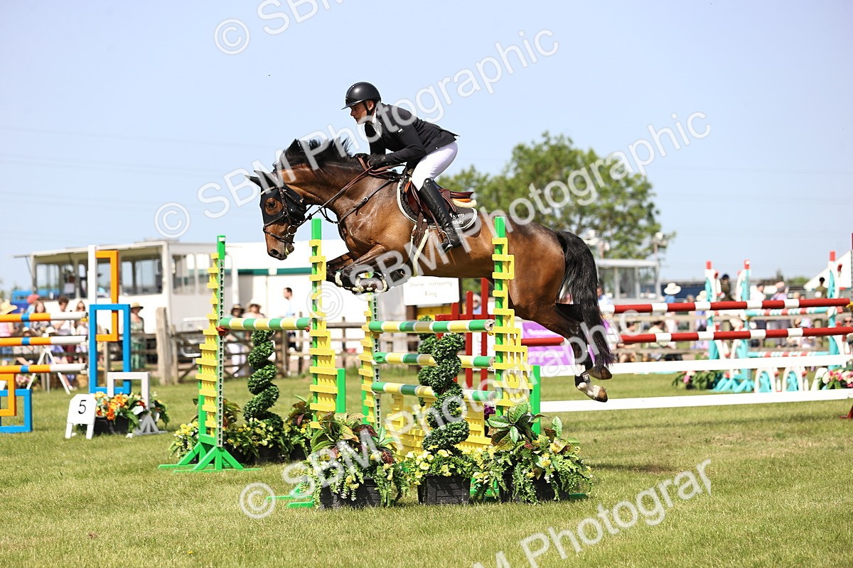 SBM_03257 - Class 201 - British Horse Feedds Speedi Beet HOYS Grade C