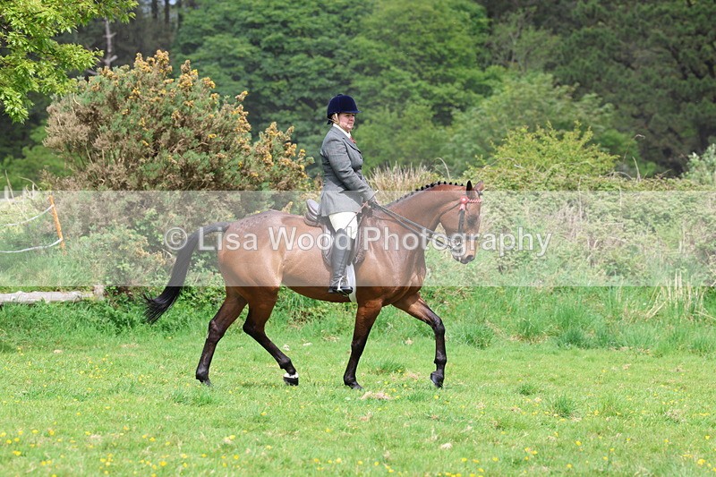 3E7A1690 - Class 9: Riding Club Horse/Pony