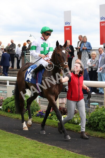 yr22052022r6-11 - Race 6: 6:05pm Sky Bet Sunday Series Stayers Stakes