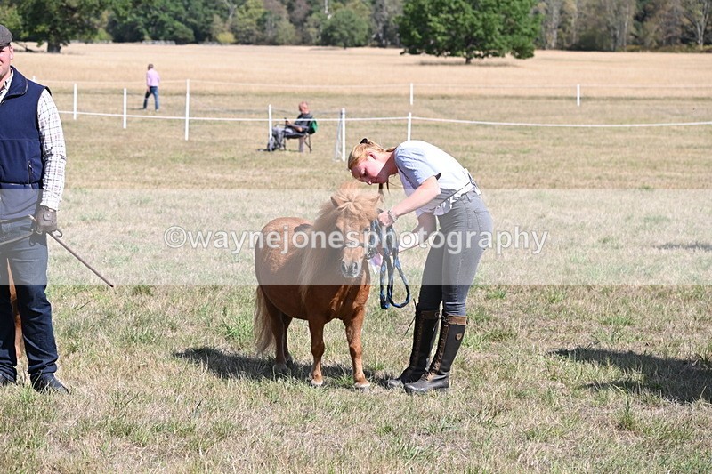 WJ6_5062 - Class 17 Mountain & Moorland