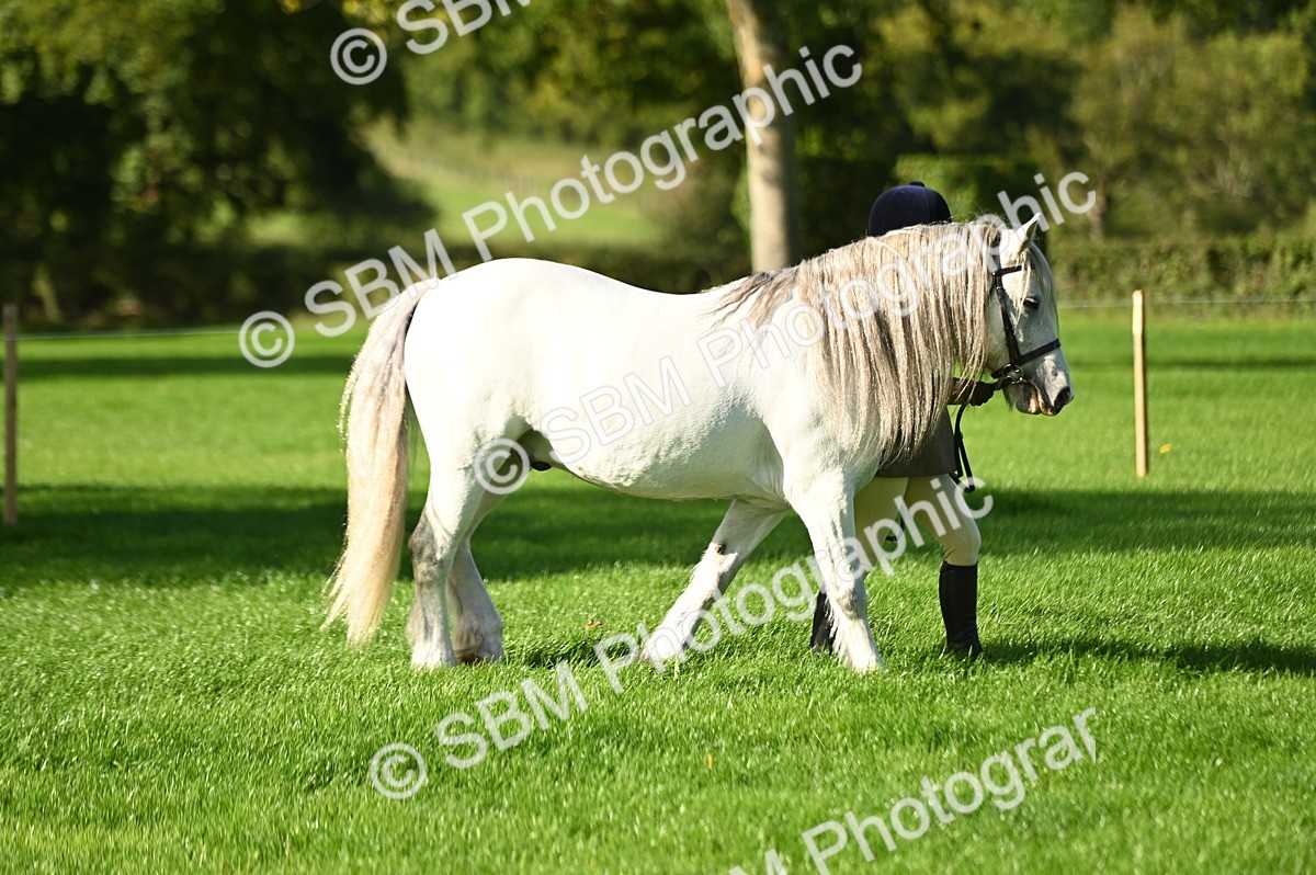 SBM_15828 - S1 - TSR in Hand Horse & Pony Showing