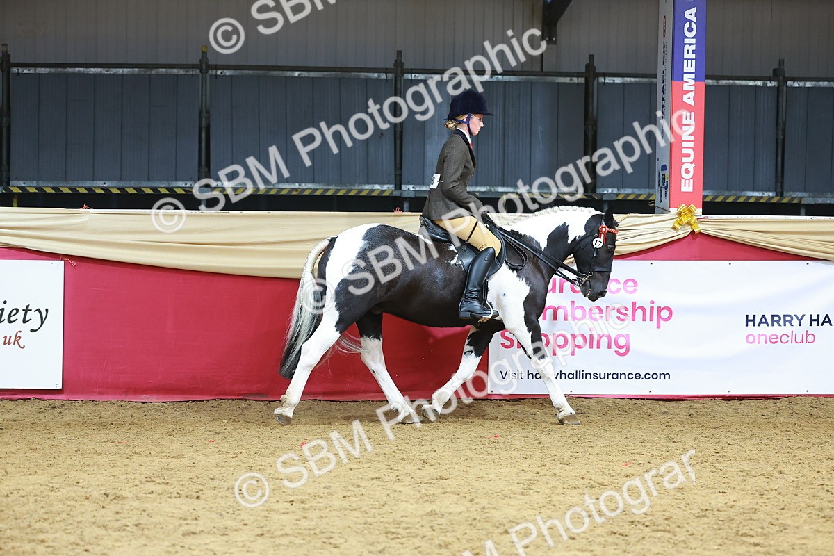 SBM_10520 - Class 103 - HOYS Veteran Qualifier - Ridden Pre Vet